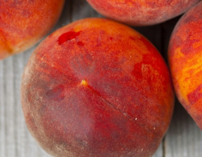 Broskyňa ´Suncrest´ neskorá, podp. GF677, kont.5l