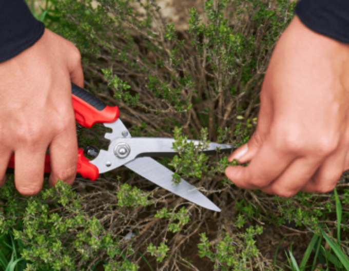 FELCO 456 Univerzálne nožnice