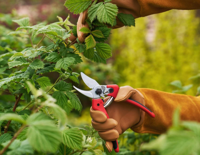 FELCO 171M Nožnice + FELCO 902 brúska