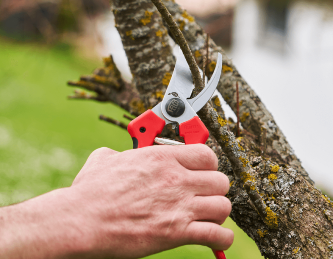 FELCO 171L Nožnice + FELCO 902 brúska