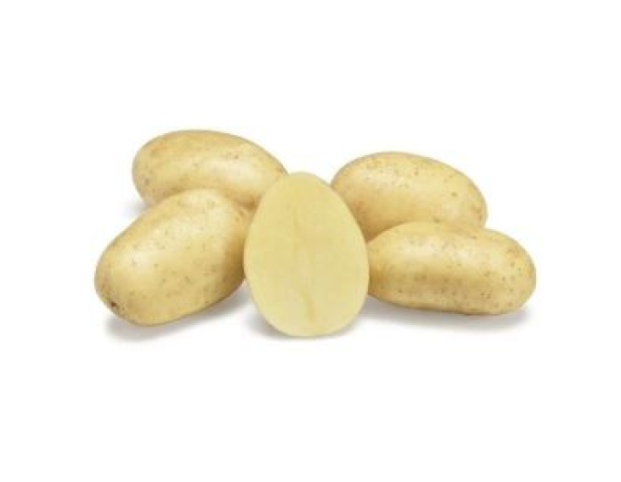 Sadbové zemiaky ´Sylvana´ 5kg
