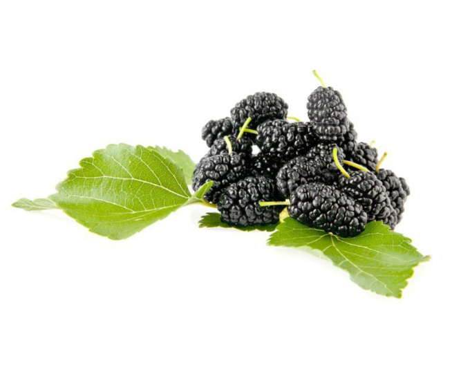 Moruša ´Milanówek´